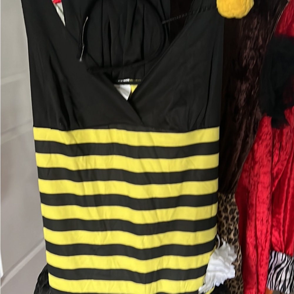 Bumblebee adult costume